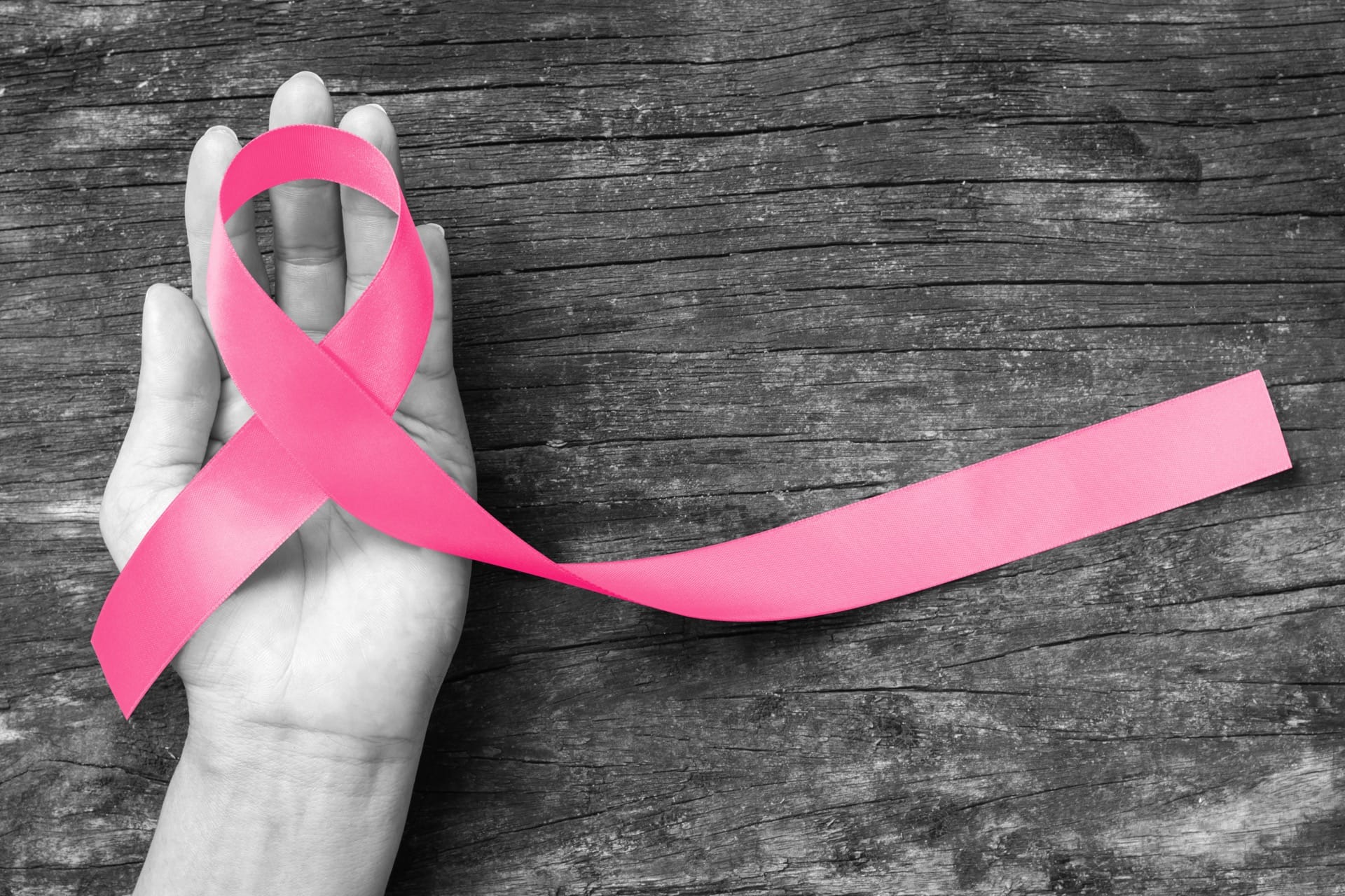 Pink Ribbon And Woman S Breasts Female Ribbon Body Photo